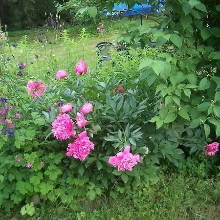 Aamiaismajoitus Jokelan Kartano 3*