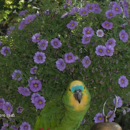 Jokelan Kartano 3* Hollola