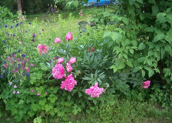 Bed & Breakfast Jokelan Kartano 3*