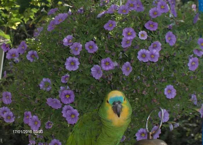 Jokelan Kartano 3* Hollola